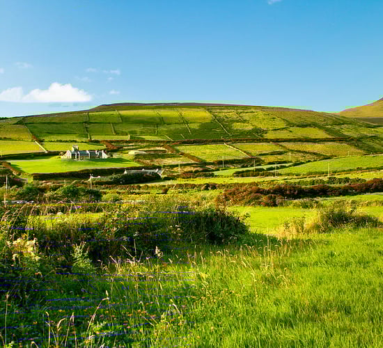 New 'climate and nature fund' bill published