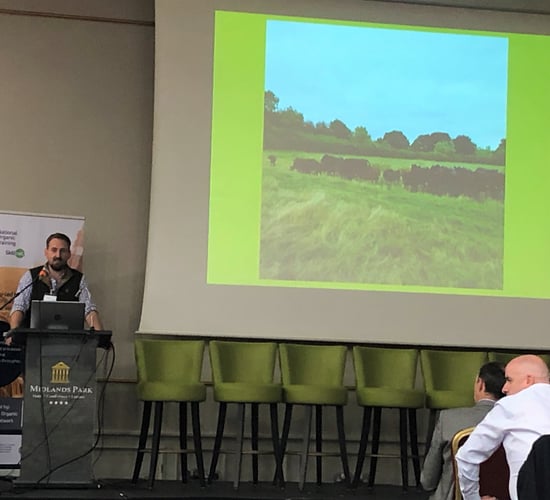 Finishing cattle off mixed-species grasslands alone in the UK