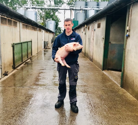 As great market of China opens up, Irish pig farmers seek stronger ASF defences