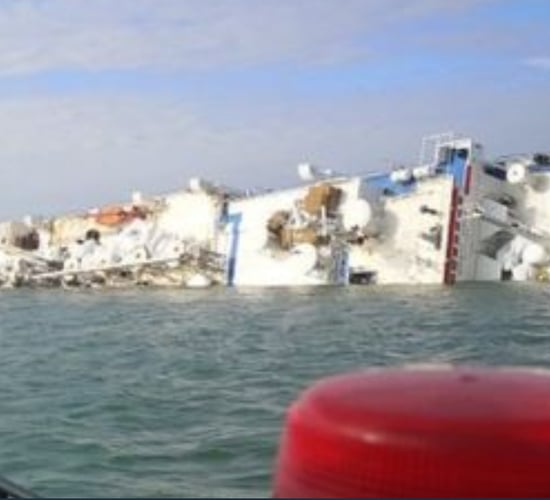 Ship carrying 14,600 sheep capsizes off Romanian coast