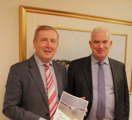 €3m in hen harrier payments commence amid promising results