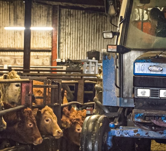 FARM SMART: Removing the paperwork on this 260-head finishing unit in Co. Derry
