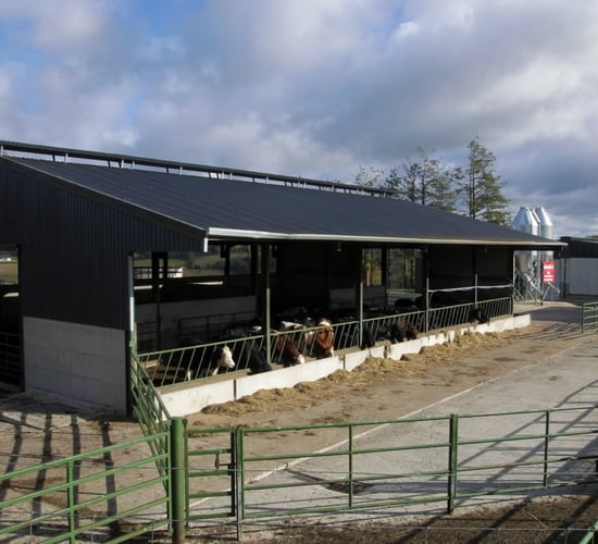 Research focus: Diving deeper into new findings from ABP Food Group's R&D farm