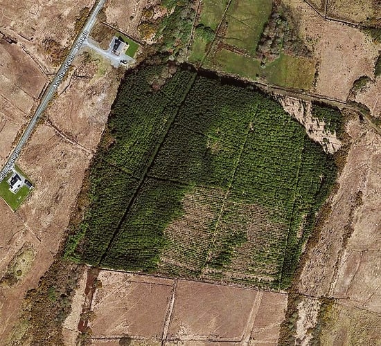 Forest land with potential in Co. Galway up for sale