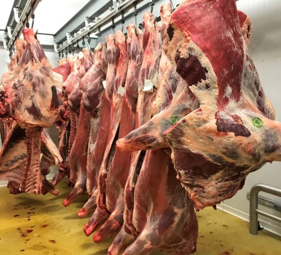 Beef Market Price Index: What does it mean for farmers?