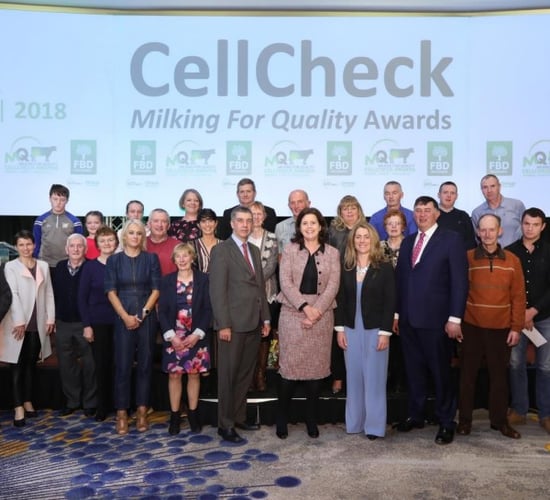 500 farmers honoured at 2019 Milking for Quality Awards