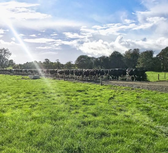 Bord Bia update: What has the Origin Green programme delivered?