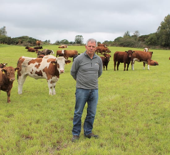 Memo to AgriLand: 'I will not be finishing cattle this winter'