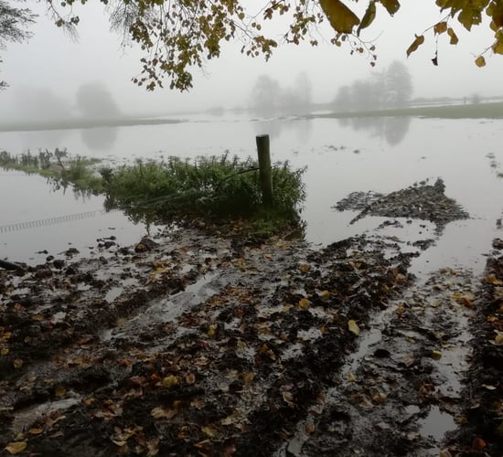 Continued weather woes puts pressure on farmers