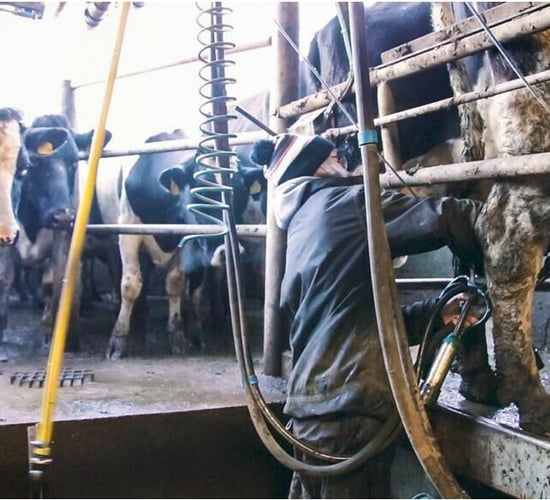 Gorman: 'Income at farm level is being squeezed'