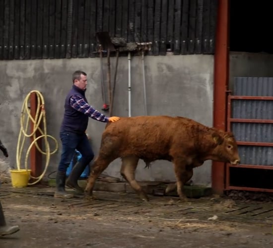 Farm Smart Series: Derek and Jennifer Glenn