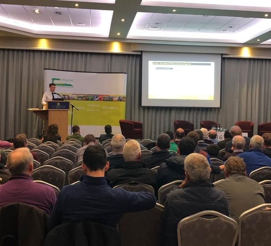 Live cattle exports 'set to exceed 300,000 head' by end of 2019