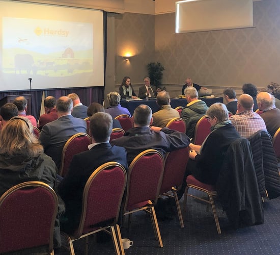 Lairage space for 5,000 dairy calves per sailing expected next spring
