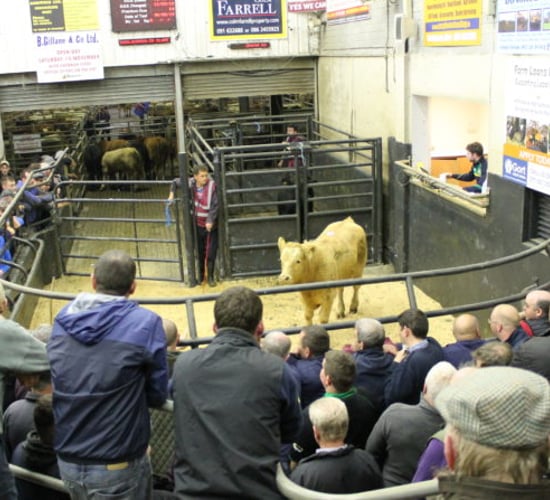 People with no business in marts asked not to attend for time being