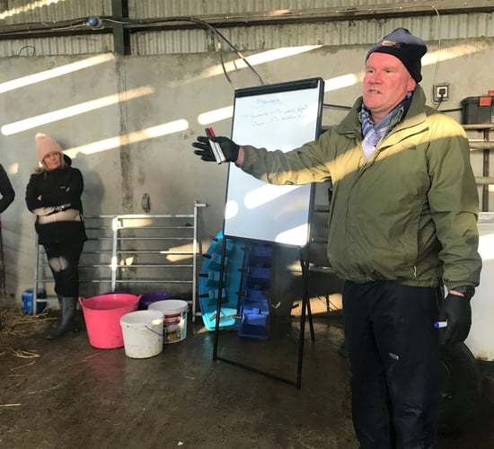 Technical Day: All aspects of calf health up for discussion in Co. Kildare