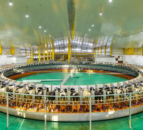 Improving work-life balance: Tips on best parlour design