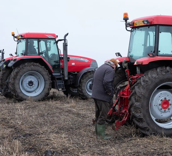 Auction report: Mix of marques goes 'under the hammer' at on-farm sale