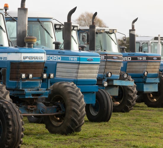 Auction report: TW mania at massive 'on-site' sale