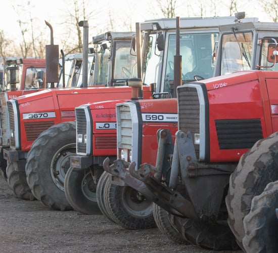 Auction report: MF in focus at the last big sale of the year