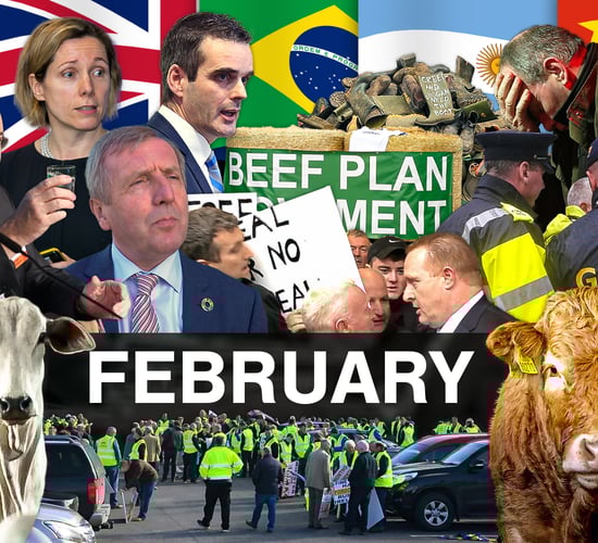Beef Industry Review: February