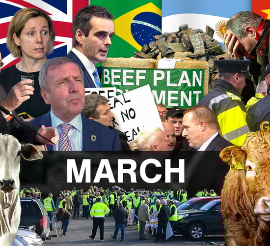 Beef Industry Review: March
