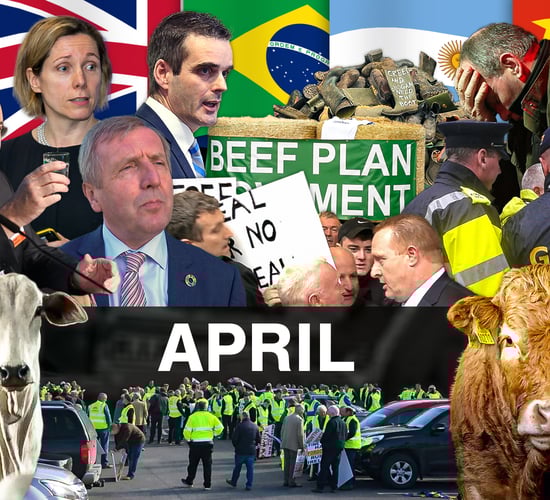 Beef Industry Review: April