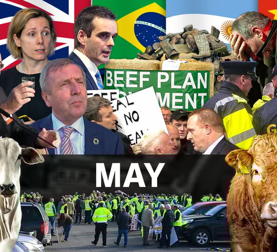 Beef Industry Review: May