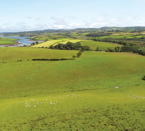 What did the experts say about each province in the IPAV farm report?