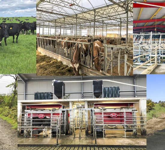 Dairy throwback: Taking a look back at the top 10 dairy farm visits of 2019