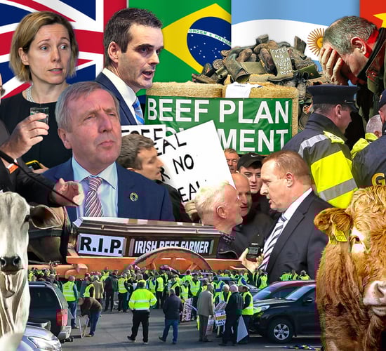 Beef Industry Review: Where to in 2020?