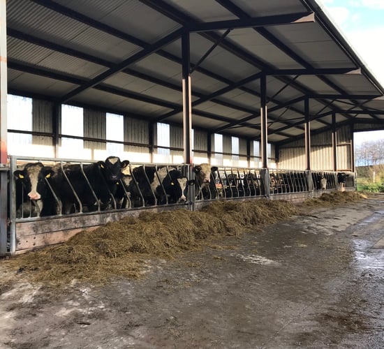Sticking to the plan and implementing a finishing programme in Co. Meath