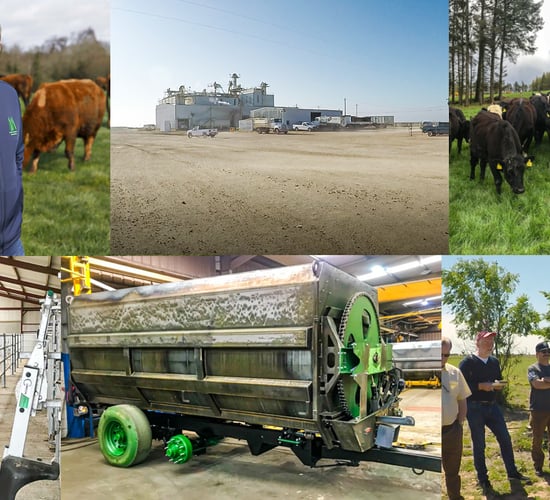 Revisited: The top 10 beef-related feature length articles of 2019