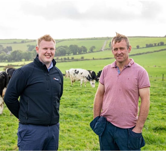 Turning excess Christmas pounds into milk solids this spring
