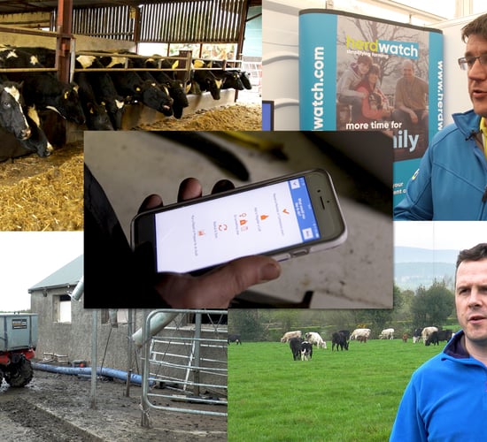 FARM SMART: How these farmers have simplified their systems with technology
