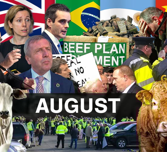 Beef Industry Review: August