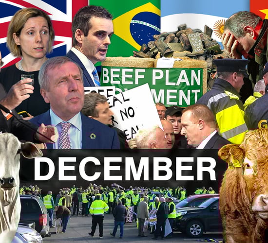 Beef Industry Review: December