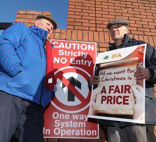 IFA to consider next move in beef price campaign at council today