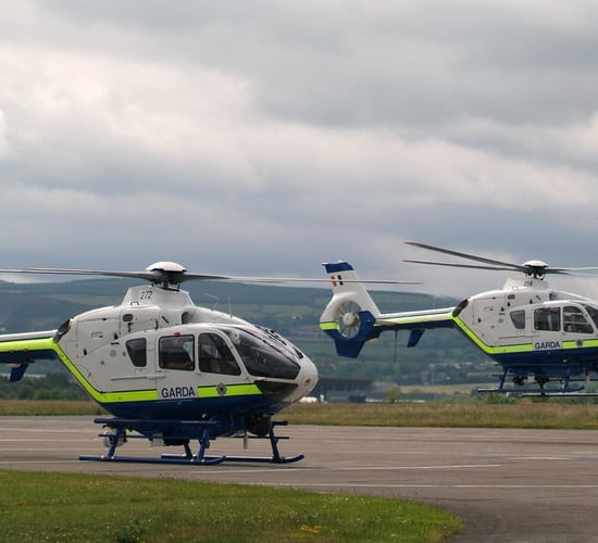 Garda air support on hand in fight against Christmas tree theft