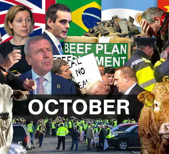 Beef Industry Review: October