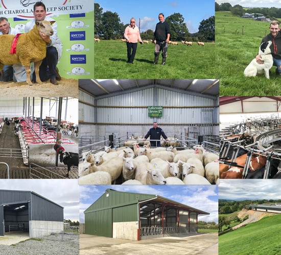 Back in focus: 10 sheep and buildings focus pieces from the past