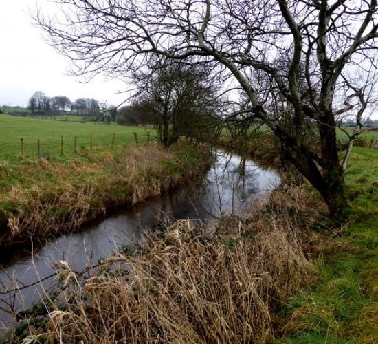 Opinion: Latest EPA water-quality report disappointing; but on-farm solutions exist