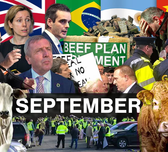 Beef Industry Review: September