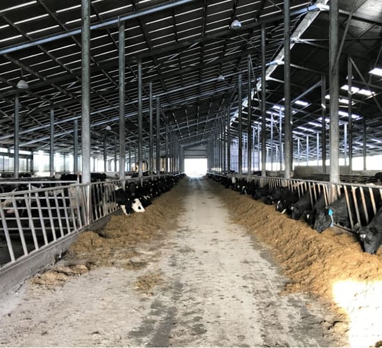 Dairy farmers urged to look inside their farmgate before considering further expansion