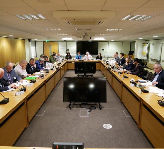 'Minister must explain failure to reconvene beef taskforce' - Stanley