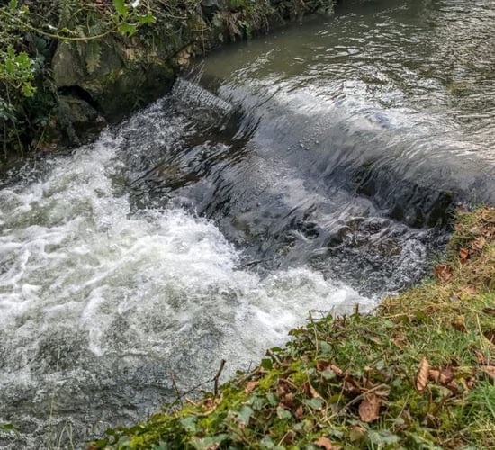 Water quality: Report finds 'progress made' on farm actions