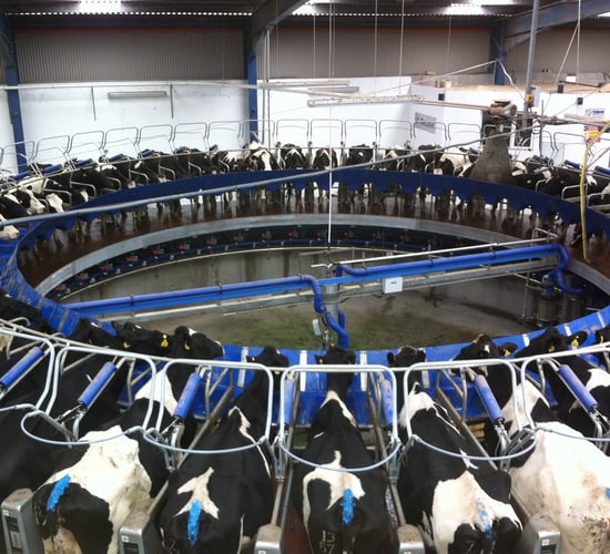 North Cork and Tipperary co-ops announce October prices