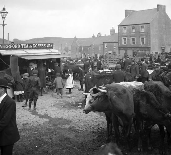 Dairy farmers urged to 'regard the cow as a machine' in 1932