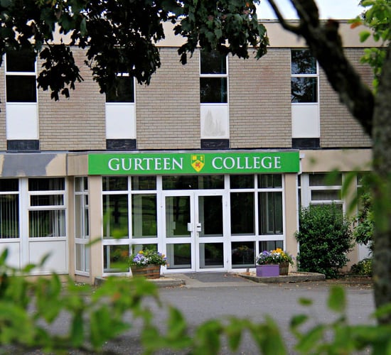 Gurteen College and IrBEA partner for bioenergy training