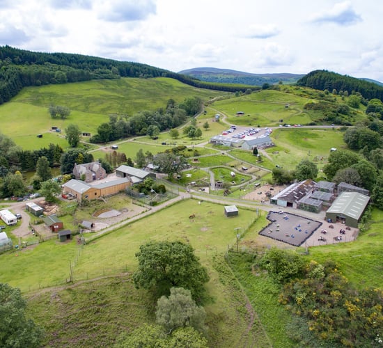 'Dream big': Wildlife park on 131ac with 'year-round trade' for sale...in Scotland