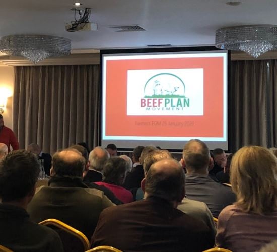 Beef Plan members plan for 'inaugural AGM' in May